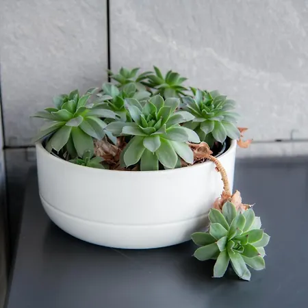 Waterfront Metropolitan * Belgrad